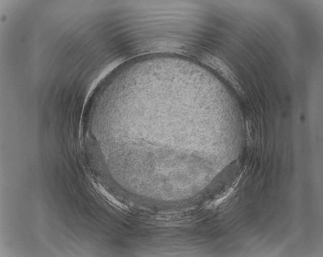 X0000067480780200605051711