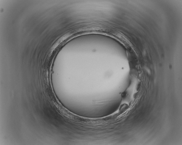 X0000067480781200605051711