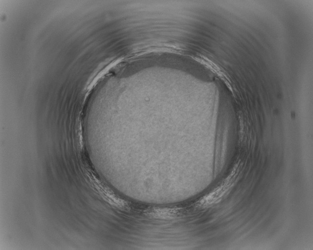 X0000067480782200605051711