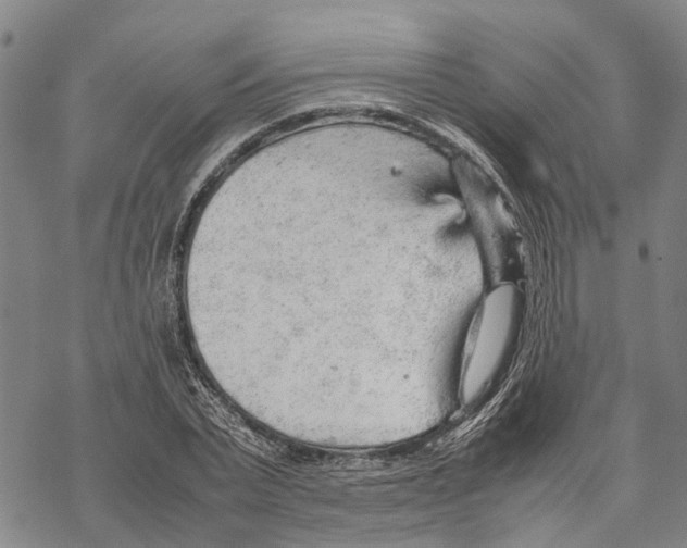 X0000067480783200605051711