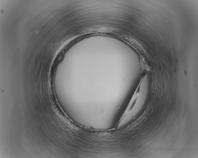 X0000067480784200605051711