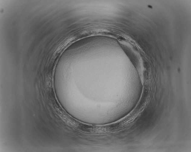 X0000067480785200605051711