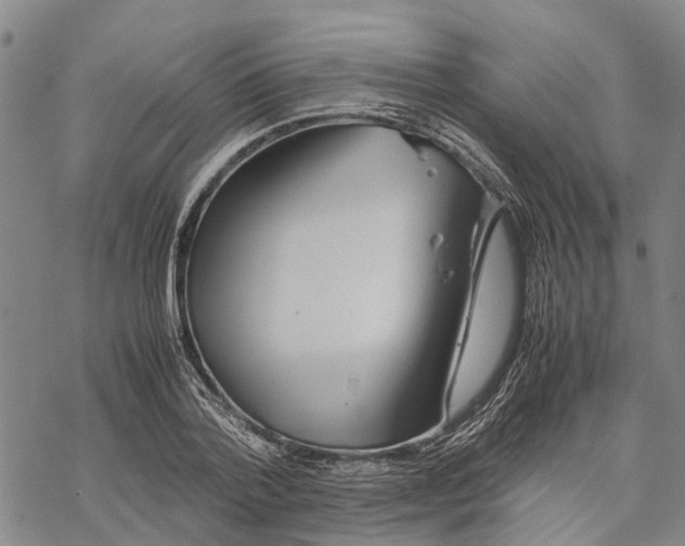 X0000067480788200605051711