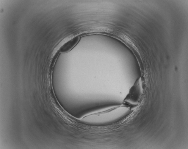 X0000067480789200605051711