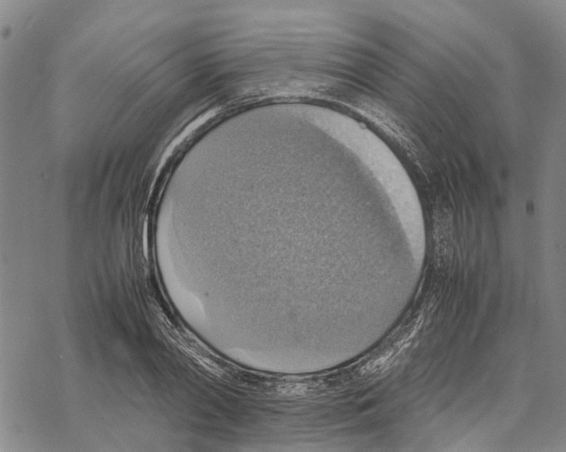 X0000067480790200605051711