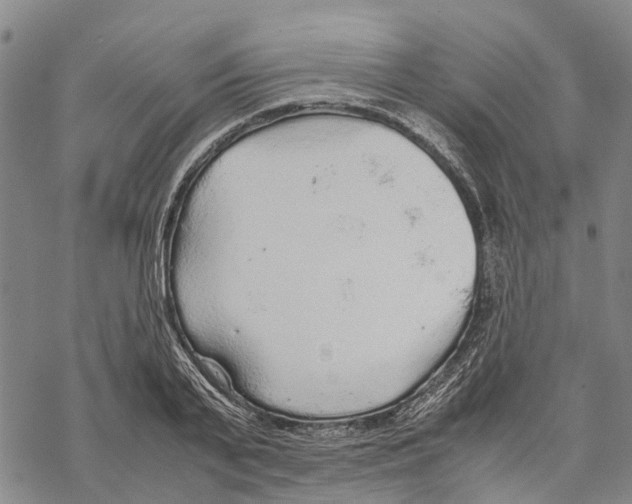 X0000067480791200605051711