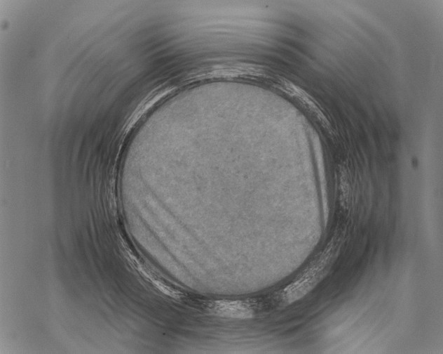 X0000067480794200605051711