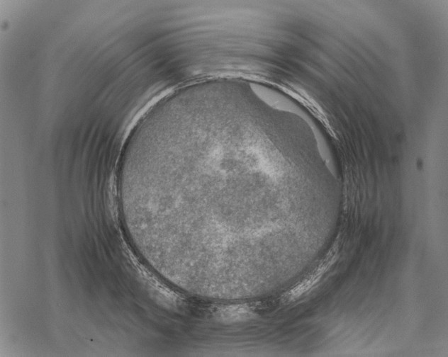 X0000067480798200605051711