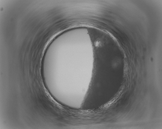 X0000067480799200605051711