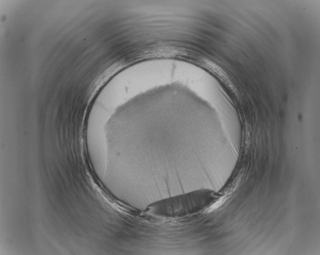 X0000067480802200605051711