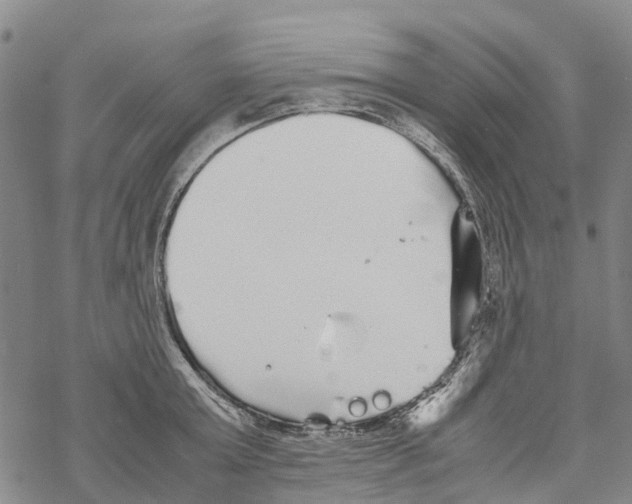 X0000067480803200605051711