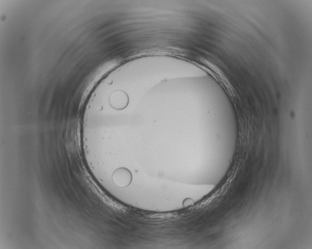 X0000067480804200605051711