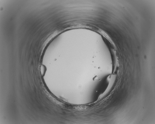 X0000067480805200605051711