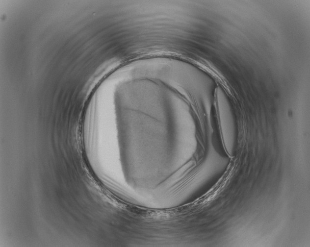 X0000067480806200605051711