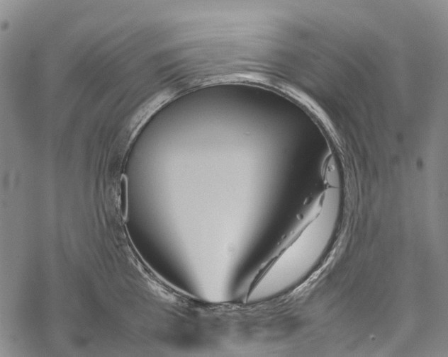 X0000067480809200605051711