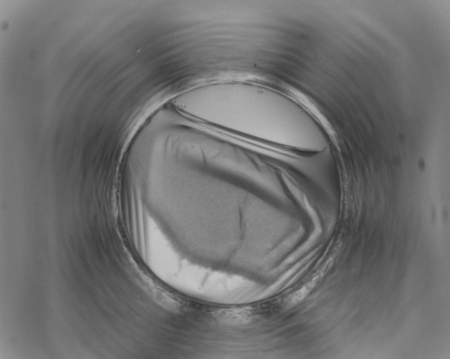 X0000067480810200605051711