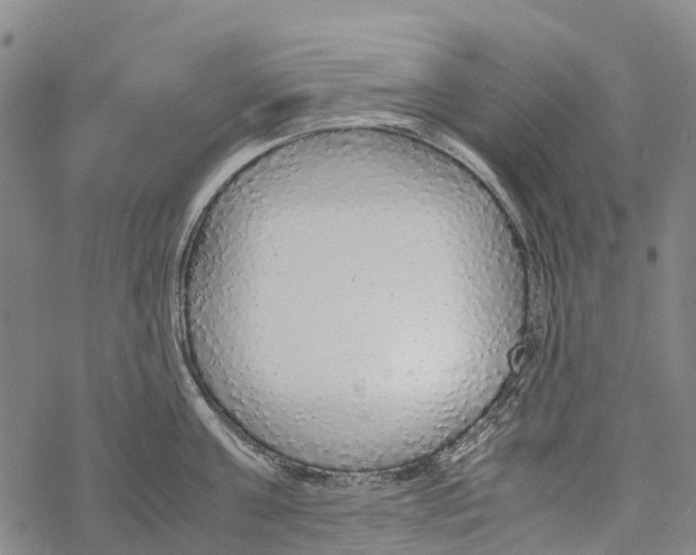 X0000067480811200605051711