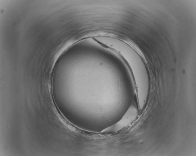 X0000067480813200605051711