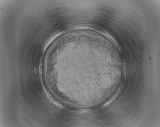 X0000067480814200605051711