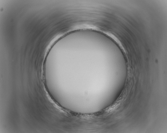 X0000067480815200605051711