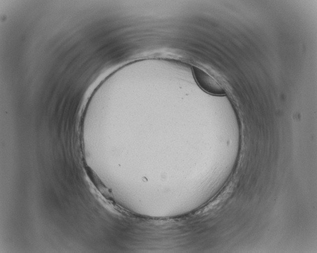 X0000067480816200605051711