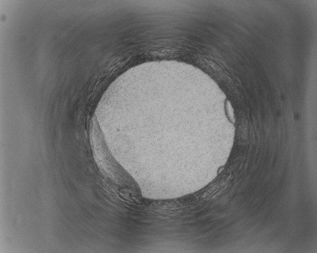 X0000067480817200605051710