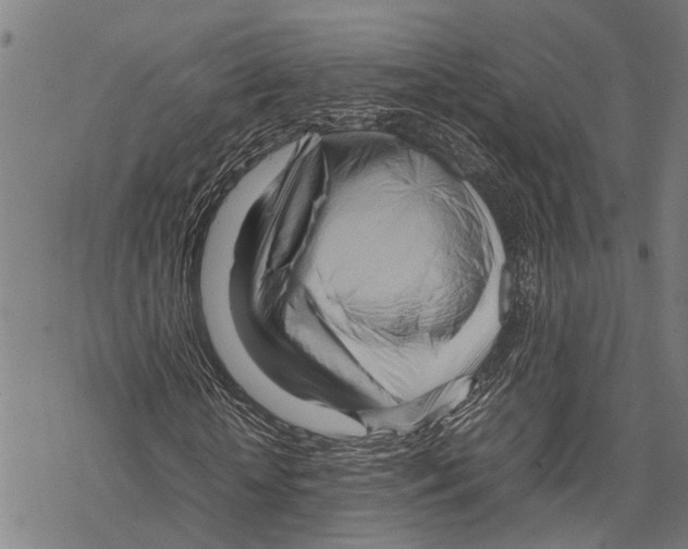 X0000067480818200605051710