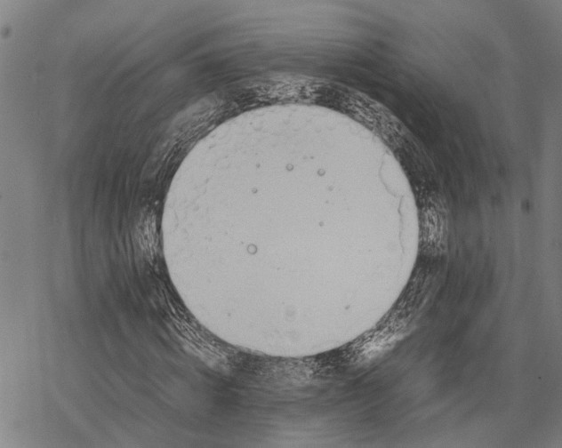 X0000067480820200605051710