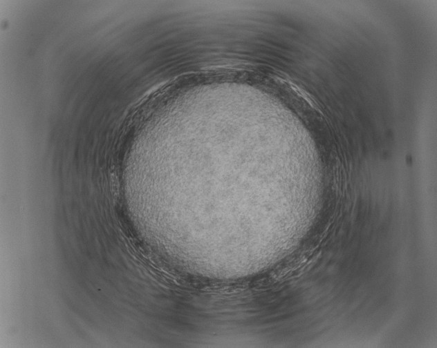 X0000067480821200605051710