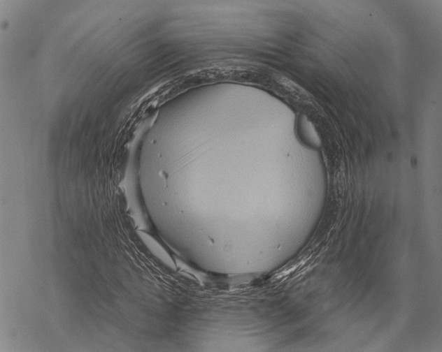 X0000067480822200605051710