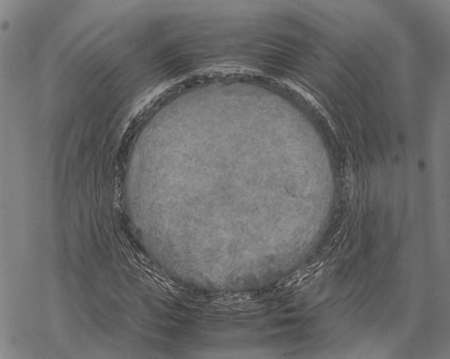 X0000067480823200605051710