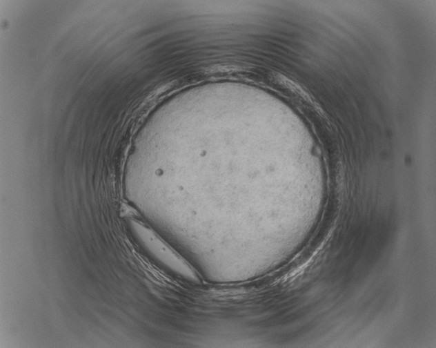 X0000067480825200605051710