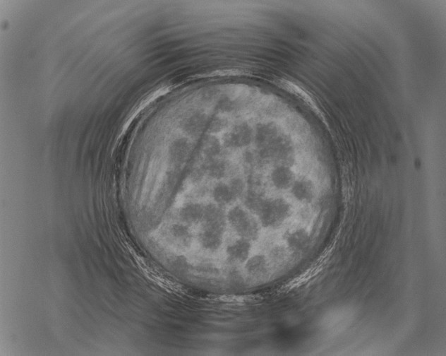 X0000067480827200605051710