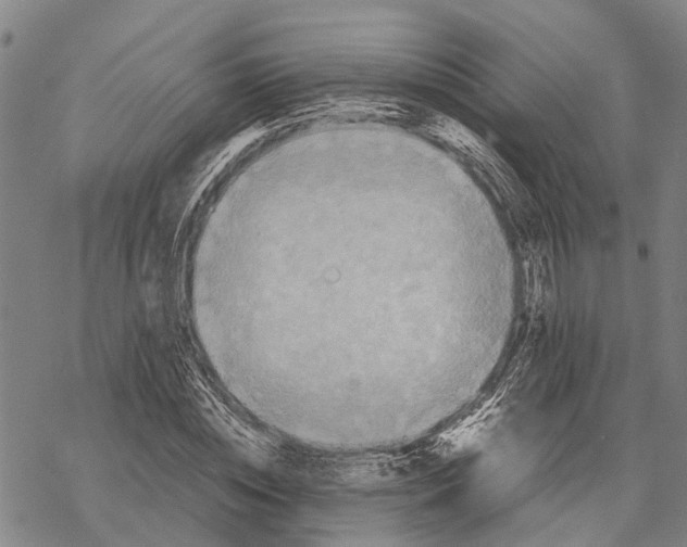 X0000067480828200605051710