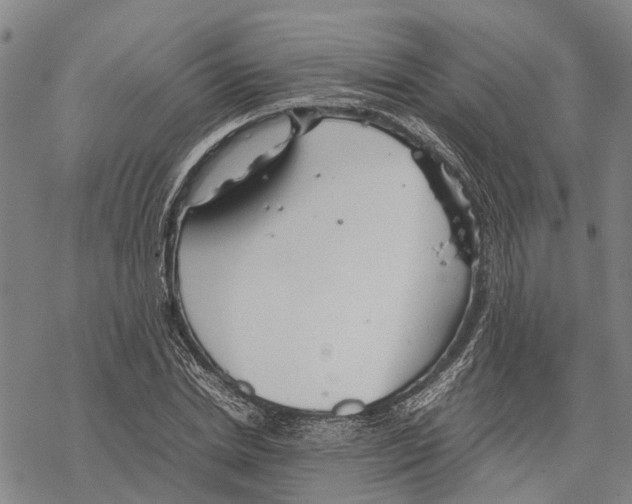 X0000067480830200605051710