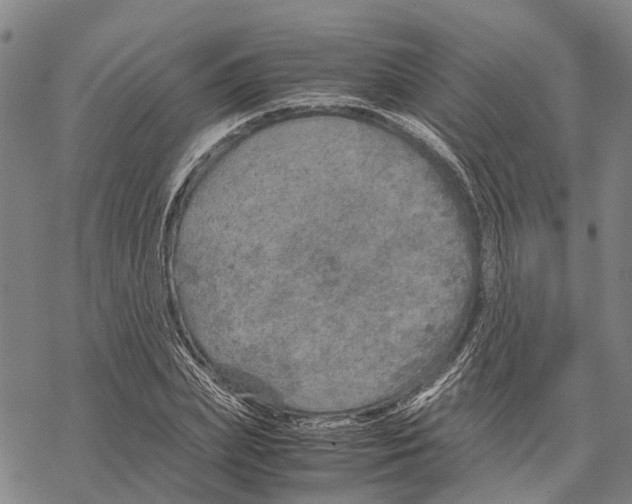 X0000067480831200605051710