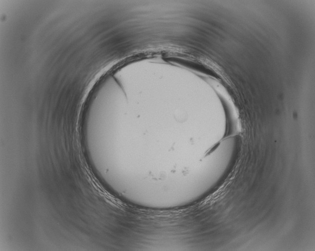 X0000067480832200605051710