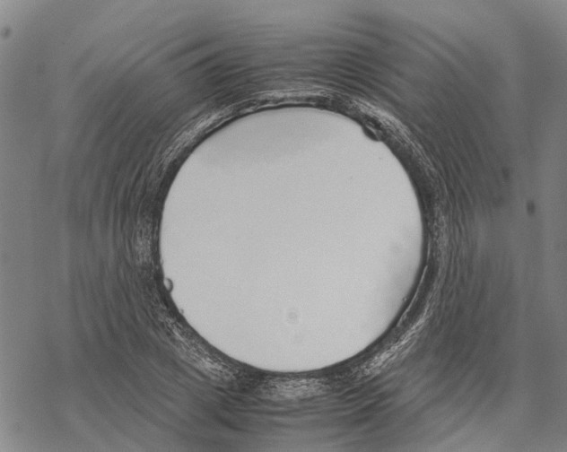 X0000067480833200605051710