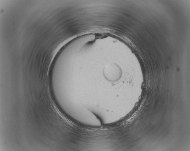 X0000067480838200605051710