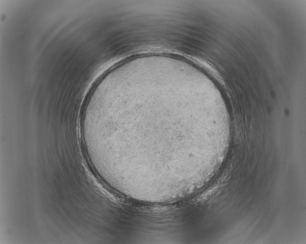 X0000067480839200605051710