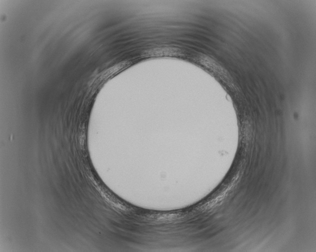 X0000067480841200605051710