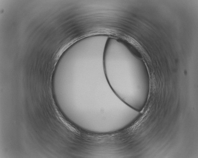 X0000067480842200605051710