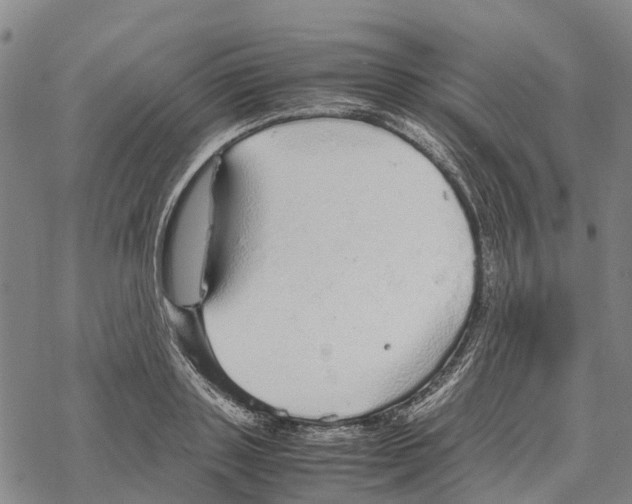 X0000067480843200605051710