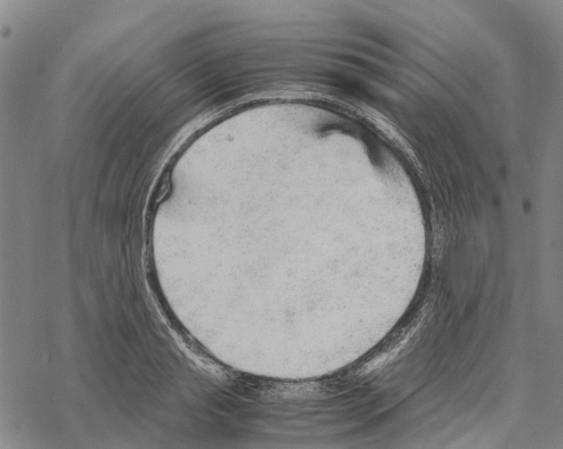 X0000067480845200605051710