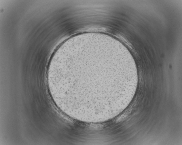 X0000067480848200605051710