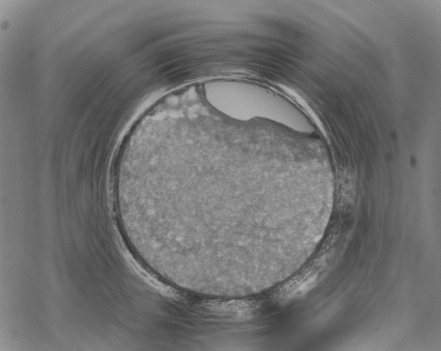 X0000067480851200605051710