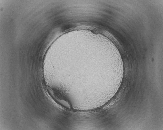 X0000067480852200605051710