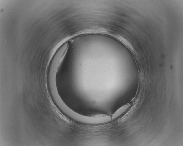 X0000067480854200605051710