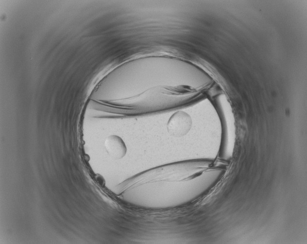 X0000067480858200605051710