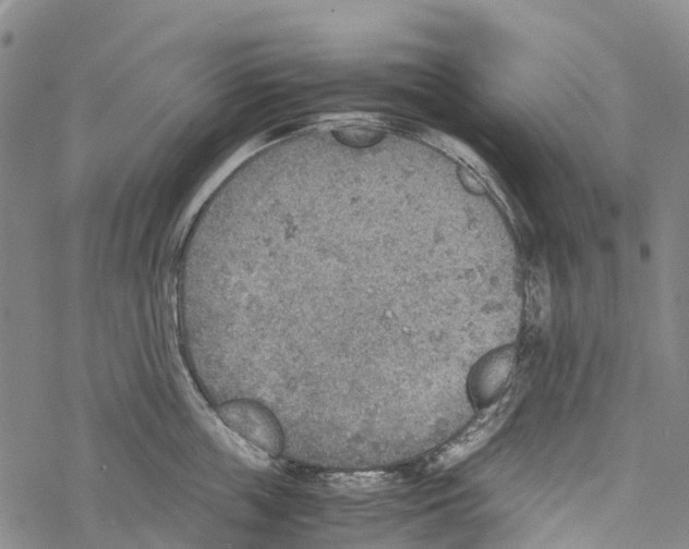 X0000067480859200605051710